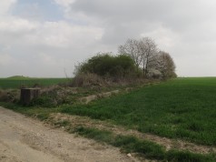 Ein Feldweg, auf der rechten Seite ein grasbewachsener Hügel mit ein paar Bäumen und einem Betonbauwerk
