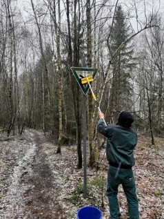 Ein Mann steht in einem Wald im Winter, Schnee liegt auf dem Boden. Er reinigt ein Schild auf dem Naturschutzgebiet steht.