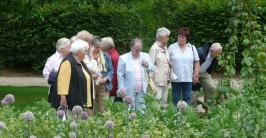 Eine Gruppe von Senioren steht in einem Nutzgarten und schaut sich die Beete an.