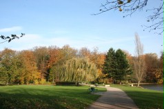 Eine Herbstszene im Kölner Grüngürtel. Im Hintergrund befinden sich Laub- und Nadelbäume. Auf der rechten Seite ein Stück eines Sees. Im Vordergrund eine Wiese mit einem Weg und Bänken am Wegesrand. Der Himmel ist wolkenlos.