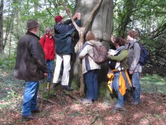 Eine Gruppe von Menschen steht um einen großen Baum und berührt ihn